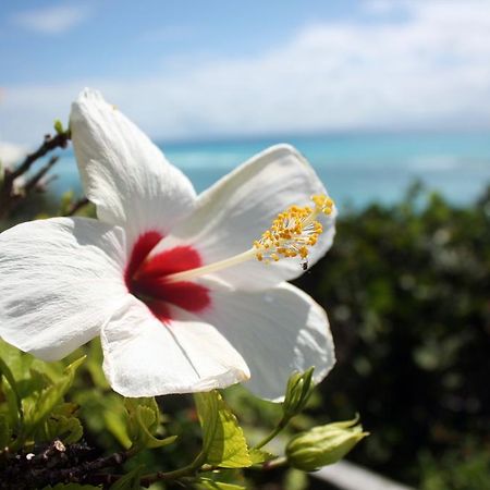 Surf Side Beach Club Mount Pleasant エクステリア 写真